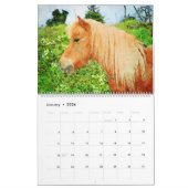 2023 Hardy Shetland Ponies Waterverf schilderkunst Kalender (Jan 2026)