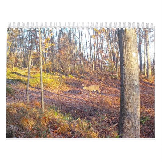 2023 Kalender voor naturen (Hoes)