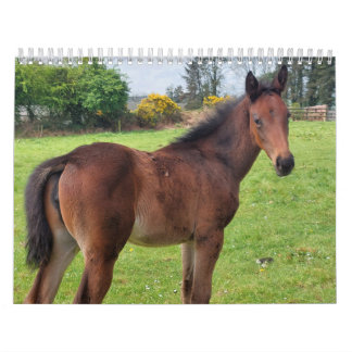 2023 Kalendermaaltijden Kalender