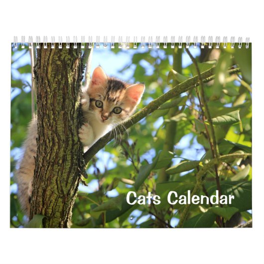 2023 Kat-kalender Kalender (Hoes)