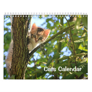 2023 Kat-kalender Kalender