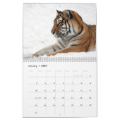 2023 Kat-kalender Kalender (Jan 2027)