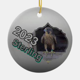 2023 Keramische Cirkel Ornament Sterling
