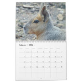 2023 Natuur van dieren Kalender (Feb 2026)