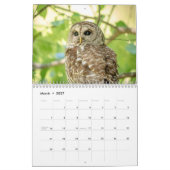 2023 Owl Kalender (Mar 2027)