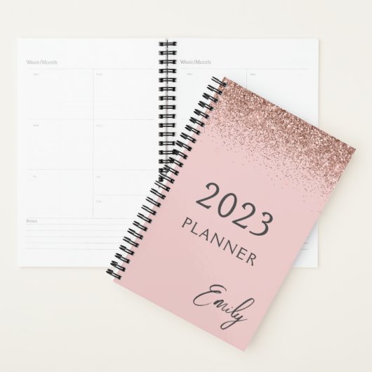 2023 Paillet Rose Gold Rose Clair (Devant avec enveloppe)