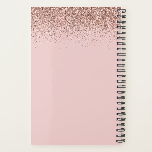 2023 Paillet Rose Gold Rose Clair (Dos)