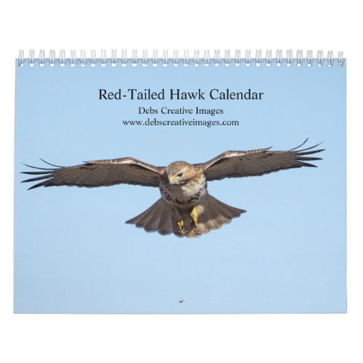 2023 Red-Tailed Hawk in de Hudson-vallei Kalender (Hoes)