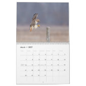 2023 Red-Tailed Hawk in de Hudson-vallei Kalender (Mar 2027)