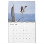 2023 Red-Tailed Hawk in de Hudson-vallei Kalender (Jan 2027)