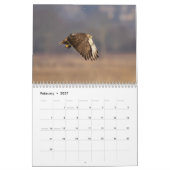 2023 Red-Tailed Hawk in de Hudson-vallei Kalender (Feb 2027)