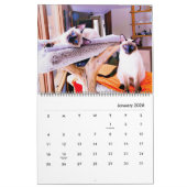 2023 Siamese Royalty Calendar Kalender (Jan 2026)