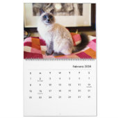 2023 Siamese Royalty Calendar Kalender (Feb 2026)
