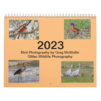 2023 Texas Bird Calendar Kalender