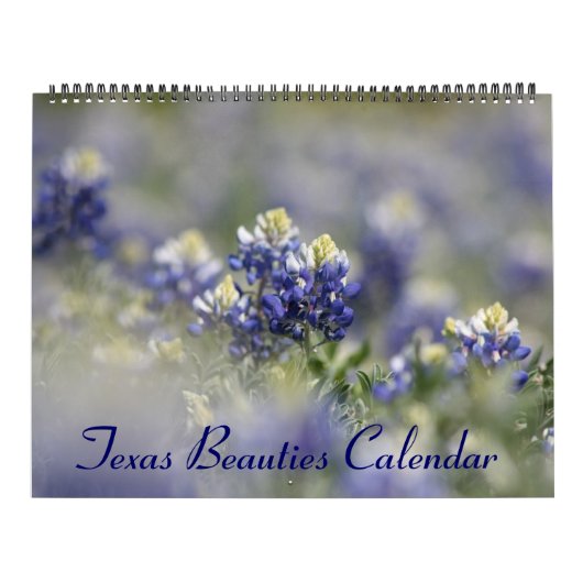 2023 Texas Bluebonnets Kalender (Hoes)