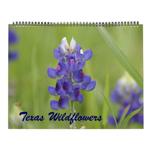 2023 Texas Wildflower Kalender (Hoes)