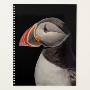 2024 Atlantische Puffin in Maine Planner