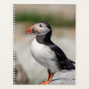 2024 Atlantische Puffin in Maine Planner