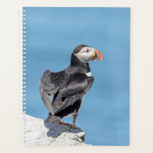 2024 Atlantische Puffin in Maine Planner
