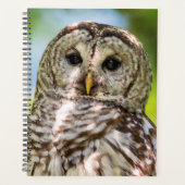 2024 Barred Owl Planner (Voorkant)