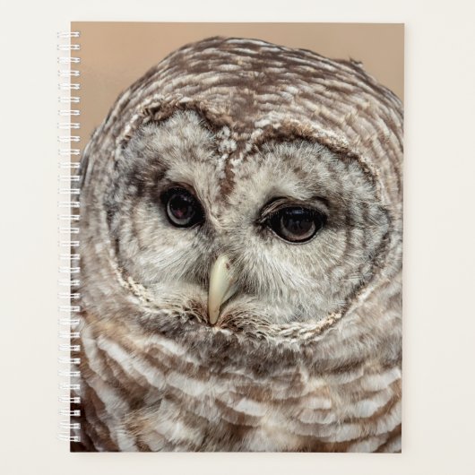 2024 Barred Owl Planner (Voorkant)