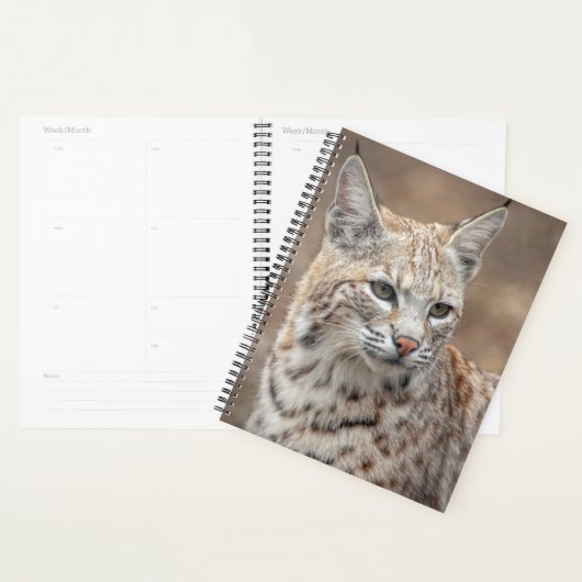 2024 Bobcat in New Jersey Planner (Display)