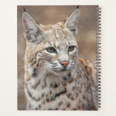 2024 Bobcat in New Jersey Planner (Achterkant)