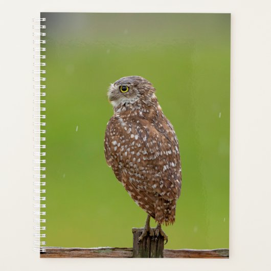 2024 Burrowing Owl Planner (Voorkant)