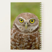 2024 Burrowing Owl Planner (Achterkant)