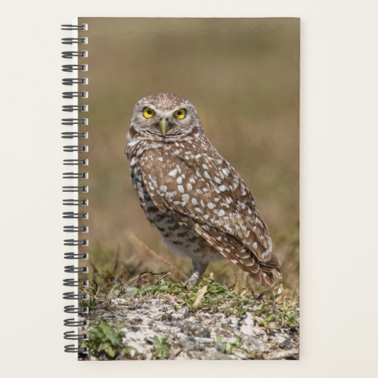 2024 Burrowing Owl Planner (Voorkant)
