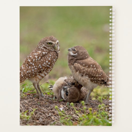 2024 Burrowing Uilen Planner (Achterkant)