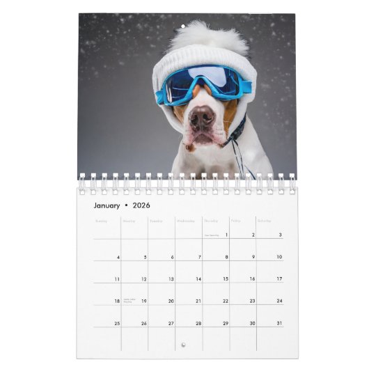 2024 Calendrier 12 mois de Chiens portant des lune (Jan 2026)