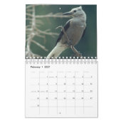2024 Calendrier des oiseaux, papillons et fleurs s (Feb 2027)