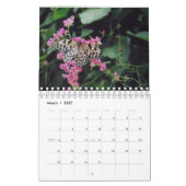 2024 Calendrier des oiseaux, papillons et fleurs s (Mar 2027)