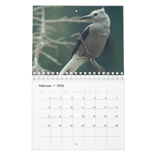 2024 Calendrier des oiseaux, papillons et fleurs s (Feb 2026)