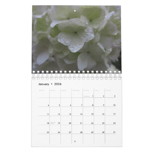 2024 Calendrier des oiseaux, papillons et fleurs s (Jan 2026)