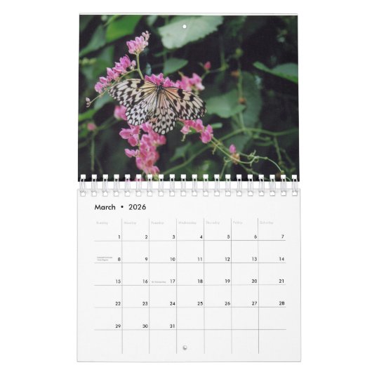 2024 Calendrier des oiseaux, papillons et fleurs s (Mar 2026)