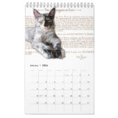 2024 Calendrier Maine Coon chats & chatons, poésie (Jan 2026)