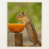 2024 Chipmunk in de Adirondacks Planner (Voorkant)