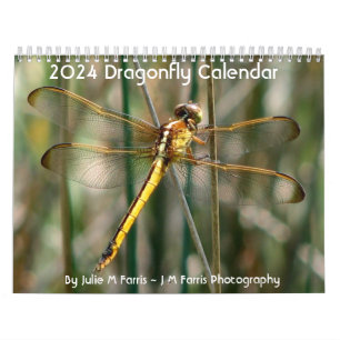 2024 Dragonfly Kalender