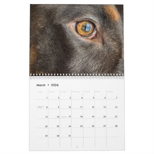 2024 DT-kalender Kalender (Mar 2026)