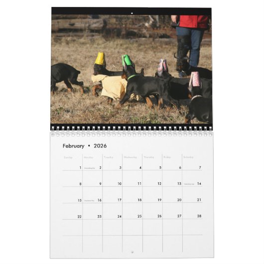 2024 DT-kalender Kalender (Feb 2026)