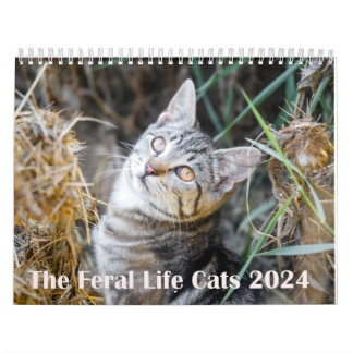 2024 Feral Life 2024 Mooie Natuurlijke Katten Kalender