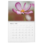 2024 Fotografie Kalender (Feb 2024)