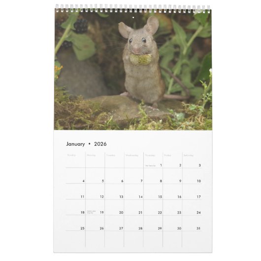 2024 George le calendrier souris 24 (Jan 2026)
