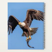 2024 Kale adelaar Planner (Achterkant)