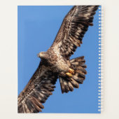 2024 Kale adelaar Planner (Achterkant)