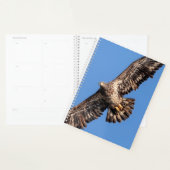2024 Kale adelaar Planner (Display)