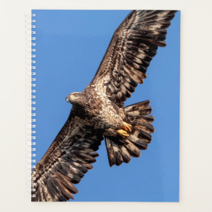 2024 Kale adelaar Planner