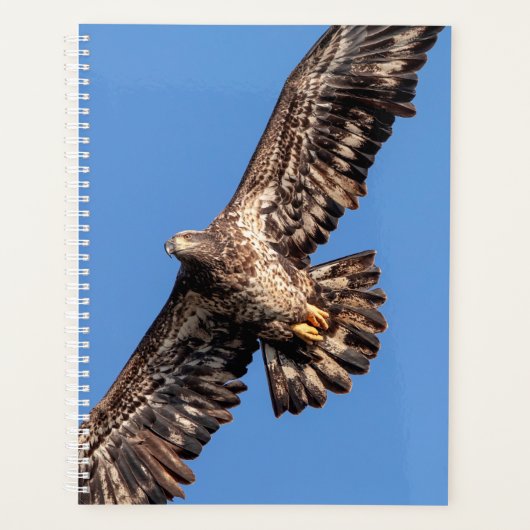 2024 Kale adelaar Planner (Voorkant)